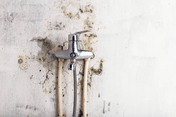 Best Mold Testing  in Stanley, ND
