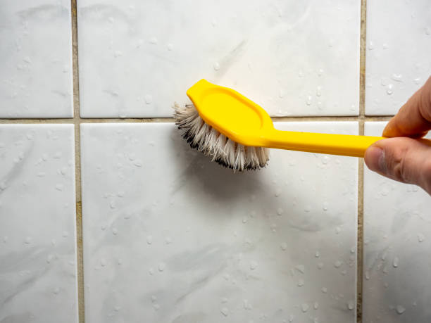Best Best Mold Removal Companies  in Stanley, ND